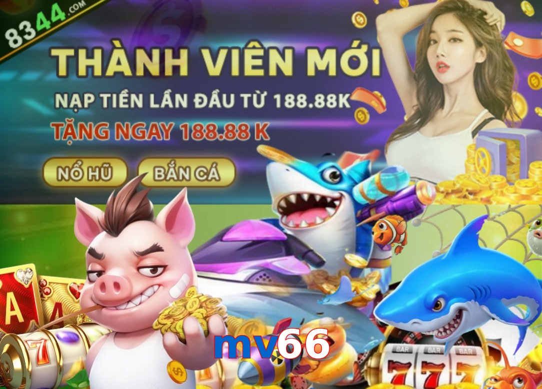 mv66